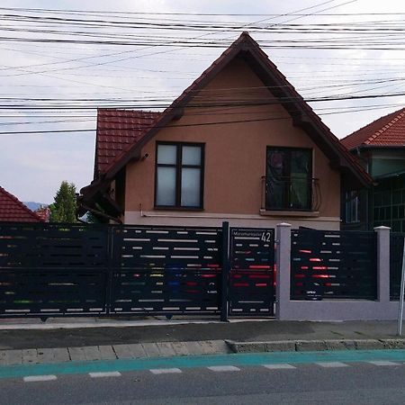 Haffner Studio Cluj-Napoca Buitenkant foto