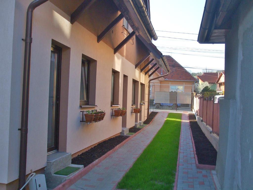 Haffner Studio Cluj-Napoca Buitenkant foto